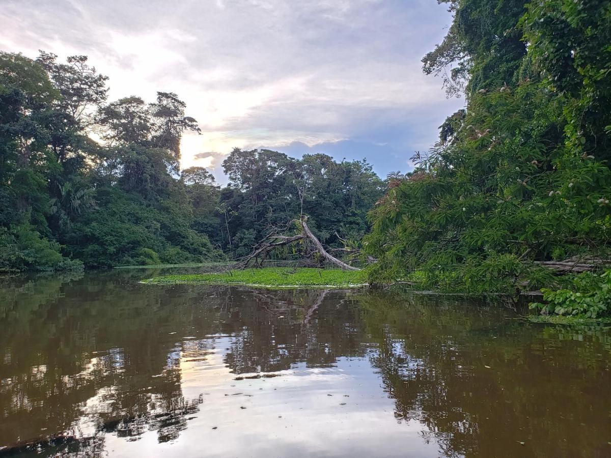 Casa Thirema Tortuguero Hotell Exteriör bild