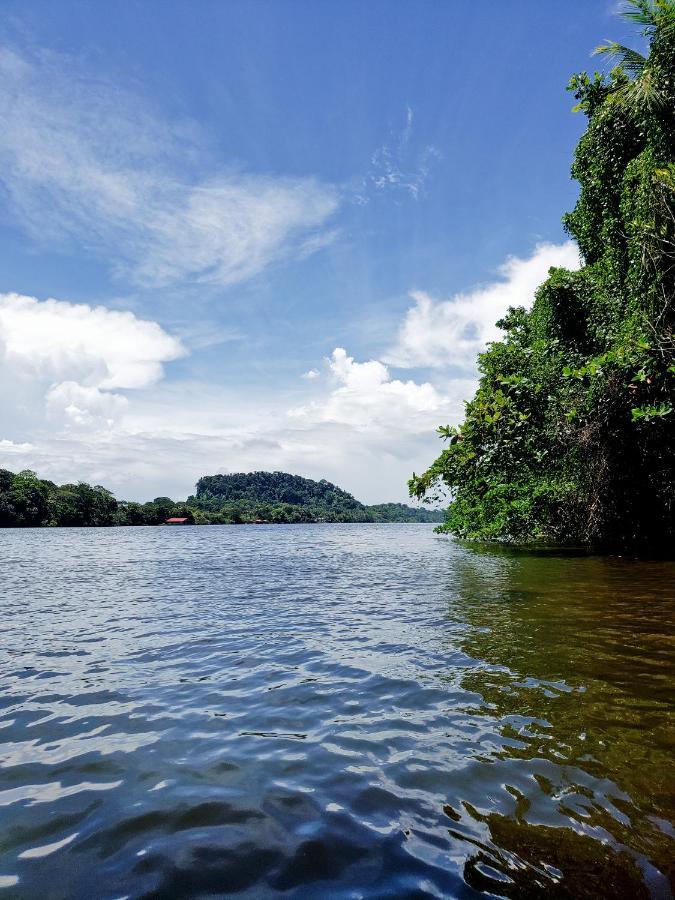 Casa Thirema Tortuguero Hotell Exteriör bild