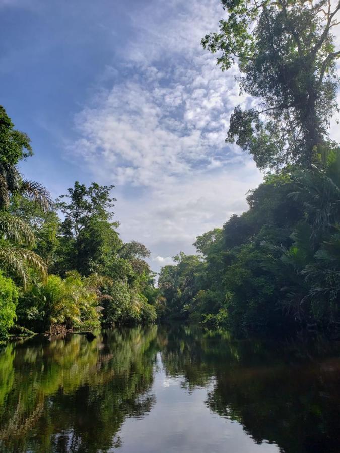 Casa Thirema Tortuguero Hotell Exteriör bild