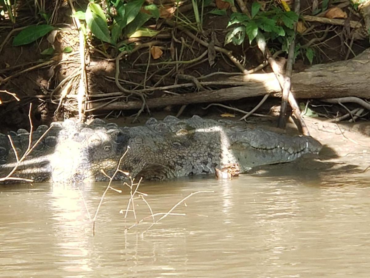 Casa Thirema Tortuguero Hotell Exteriör bild