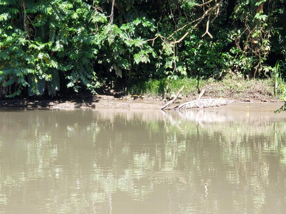 Casa Thirema Tortuguero Hotell Exteriör bild