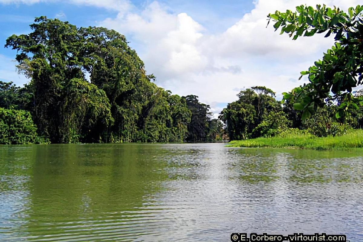 Casa Thirema Tortuguero Hotell Exteriör bild