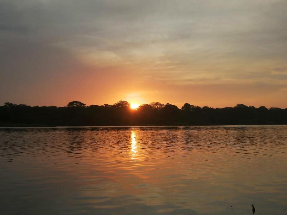 Casa Thirema Tortuguero Hotell Exteriör bild